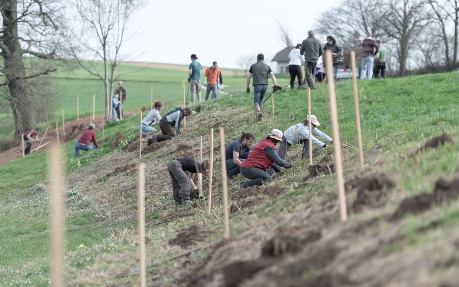 group-working